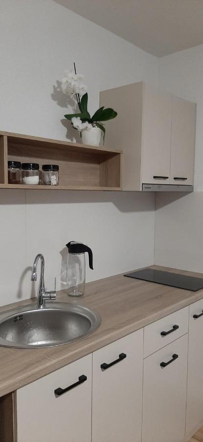 Snegar Apartments Охрид Екстер'єр фото